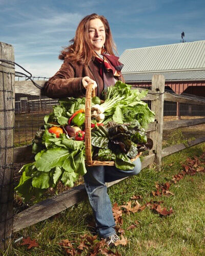 Cathy Snyder Rolling Harvest.jpg
